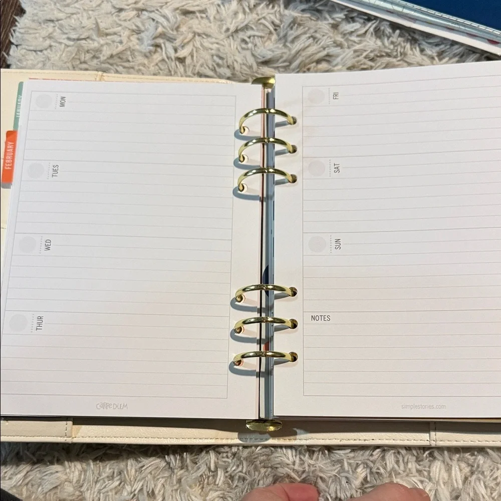 Carpe Diem Planner with Gold Accents and colorful pages